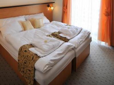 Hotel Manes Svratka Ngoại thất bức ảnh