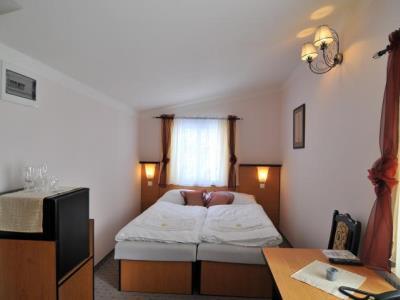 Hotel Manes Svratka Ngoại thất bức ảnh
