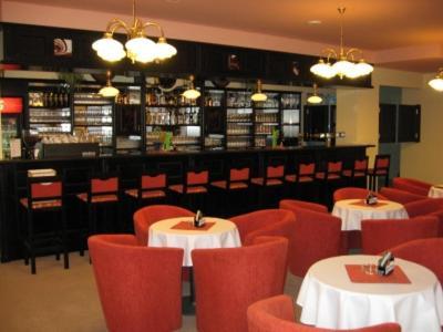 Hotel Manes Svratka Ngoại thất bức ảnh